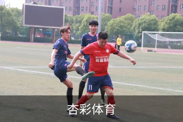 杏彩体育公司简介展示图